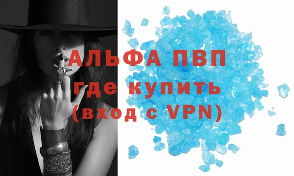 винт Алзамай