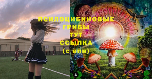 тгк Абинск