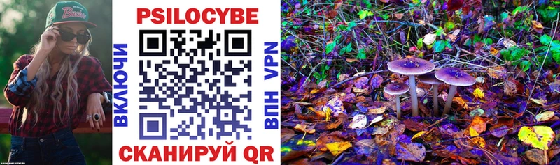 Галлюциногенные грибы Psilocybine cubensis  Заволжье 