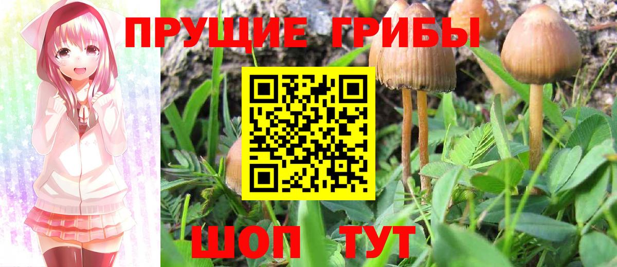 Галлюциногенные грибы Magic Shrooms  Вход с VPN  Галлюциногенные грибы мицелий  Заволжье 
