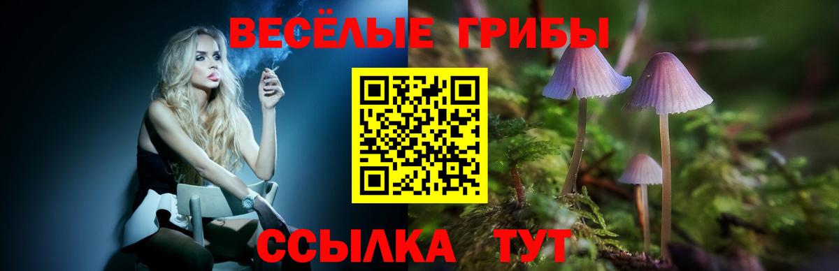 Псилоцибиновые грибы ЛСД Заволжье